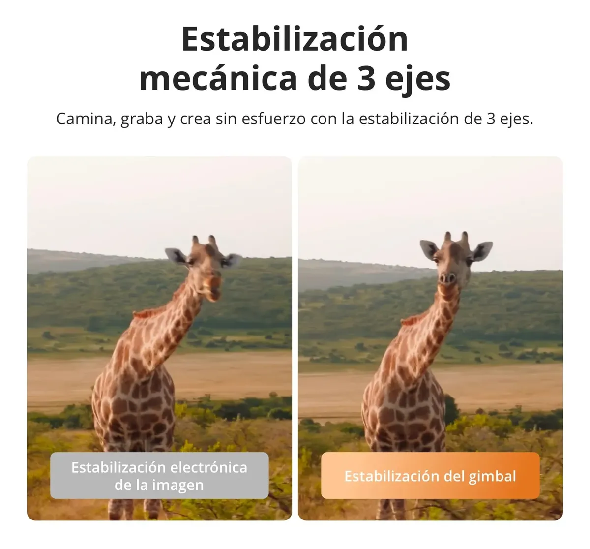 Dji Osmo Pocket 4 (Creator Combo) — imagen 5